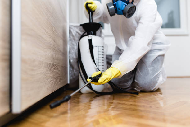 Best Bed Bug Extermination  in Rio Grande, OH