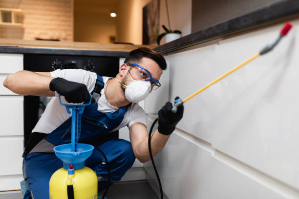 Best Mosquito Control Services  in Rio Grande, OH