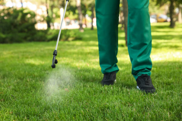 Best Pest Control Cost  in Rio Grande, OH