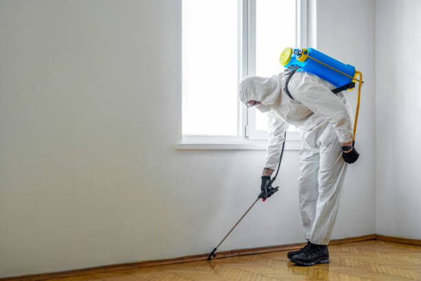 Best Local Pest Control Services  in Rio Grande, OH