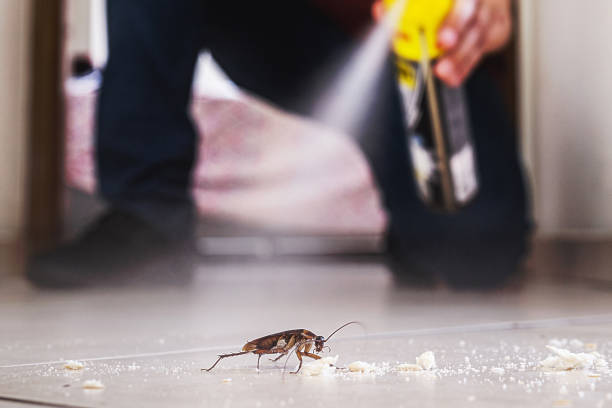 Best Emergency Pest Control  in Rio Grande, OH