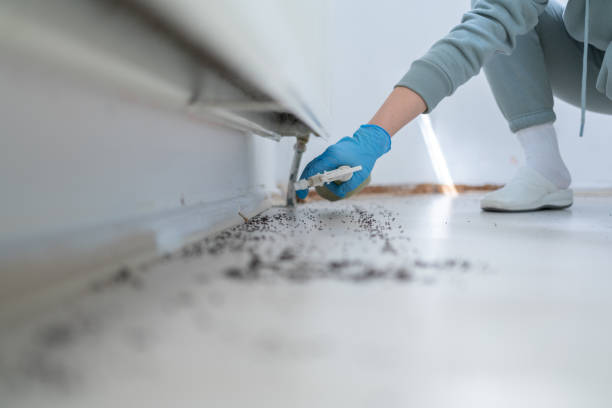 Best Residential Pest Control  in Rio Grande, OH