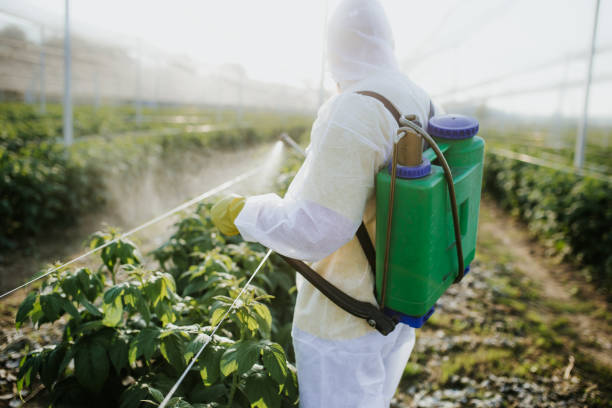 Best Affordable Pest Control Services  in Rio Grande, OH